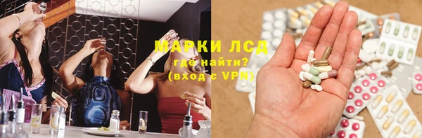 стафф Арсеньев