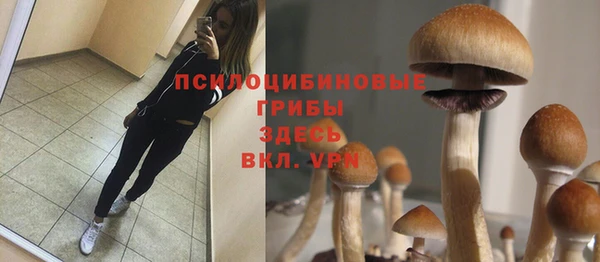 гашик Аркадак