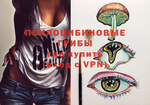 гашик Аркадак