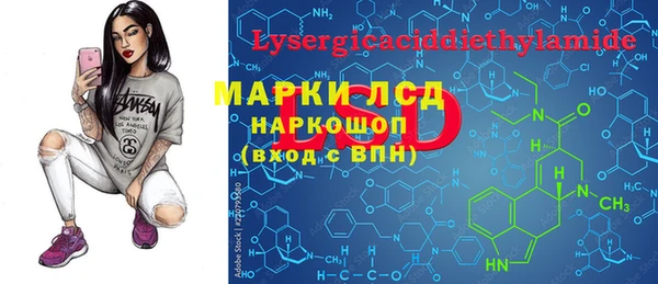 стафф Арсеньев