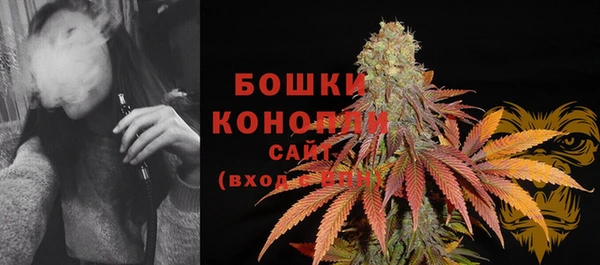 гашик Аркадак