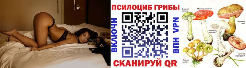 Галлюциногенные грибы Magic Shrooms  Балей 